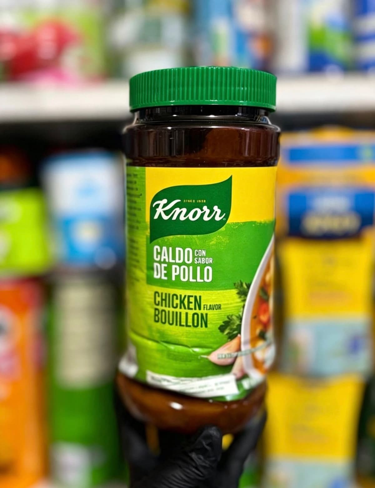 Knorr Chicken Flavour Bouillon Paste